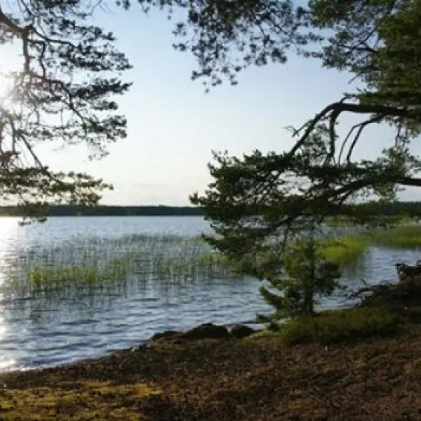 hedesunda-camping-hedesunda-n2nbd