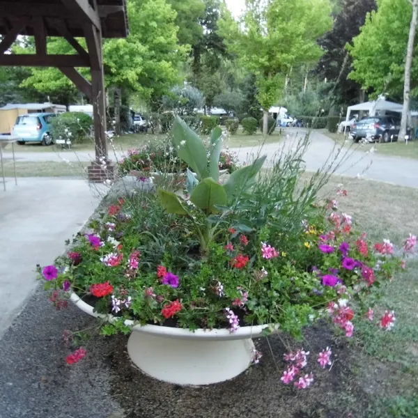 les-coullemieres-vermenton-yonne-daphs