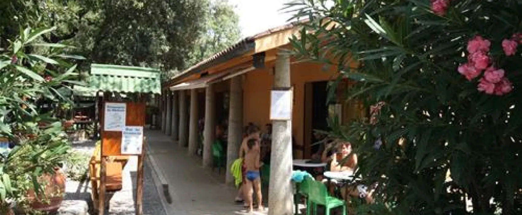 Camping Village Montescudaio