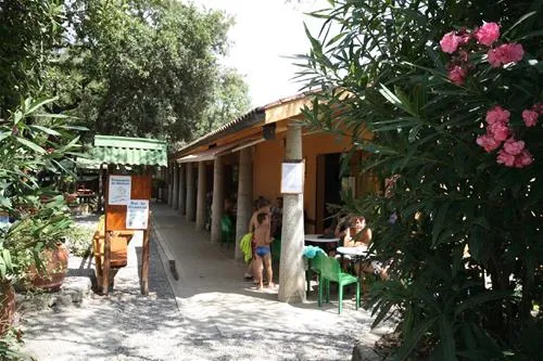 camping-village-montescudaio-montescudaio-3lop2