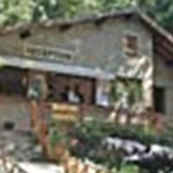 Camping Village Montescudaio