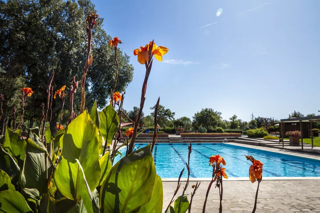 camping-village-montescudaio-montescudaio-x1zq0