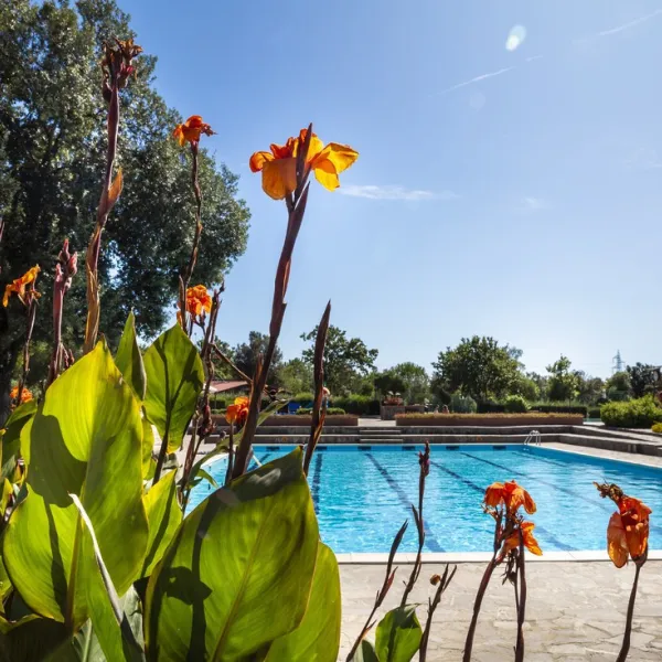 camping-village-montescudaio-montescudaio-x1zq0