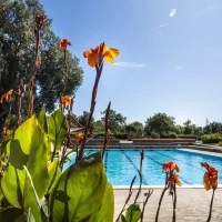 camping-village-montescudaio-montescudaio-x1zq0