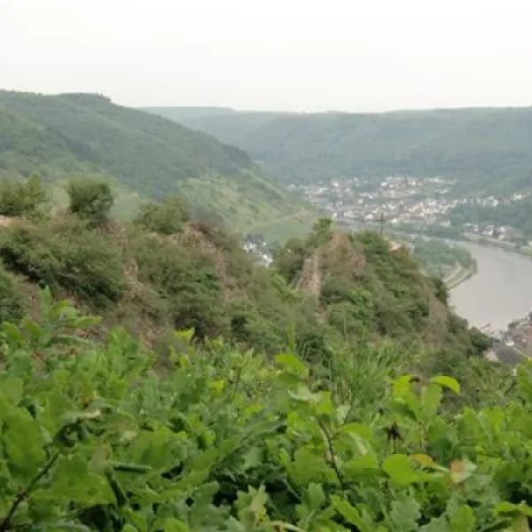 campingschausten-cochemenderttal-ntwtx