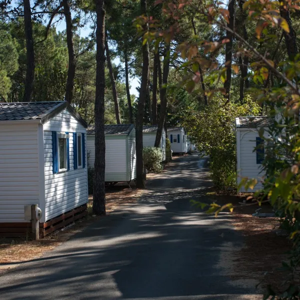 camping-la-siesta-la-faute-pdw8y