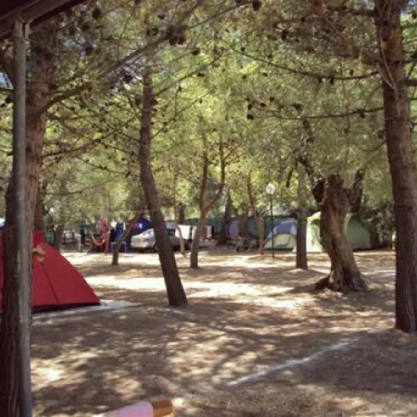 camping-lama-le-canne-vieste-iklrq