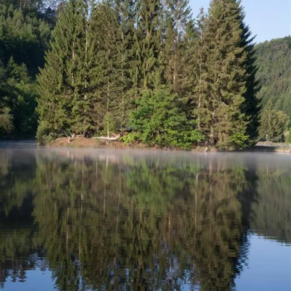 camping-muhlenbach-sturzelbronn-fvrz3