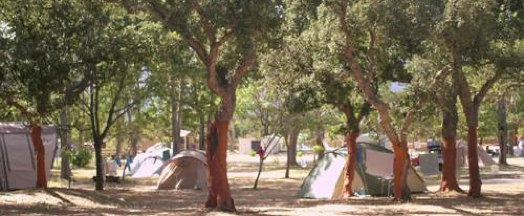 Camping Cuppulata