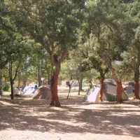 Camping Cuppulata