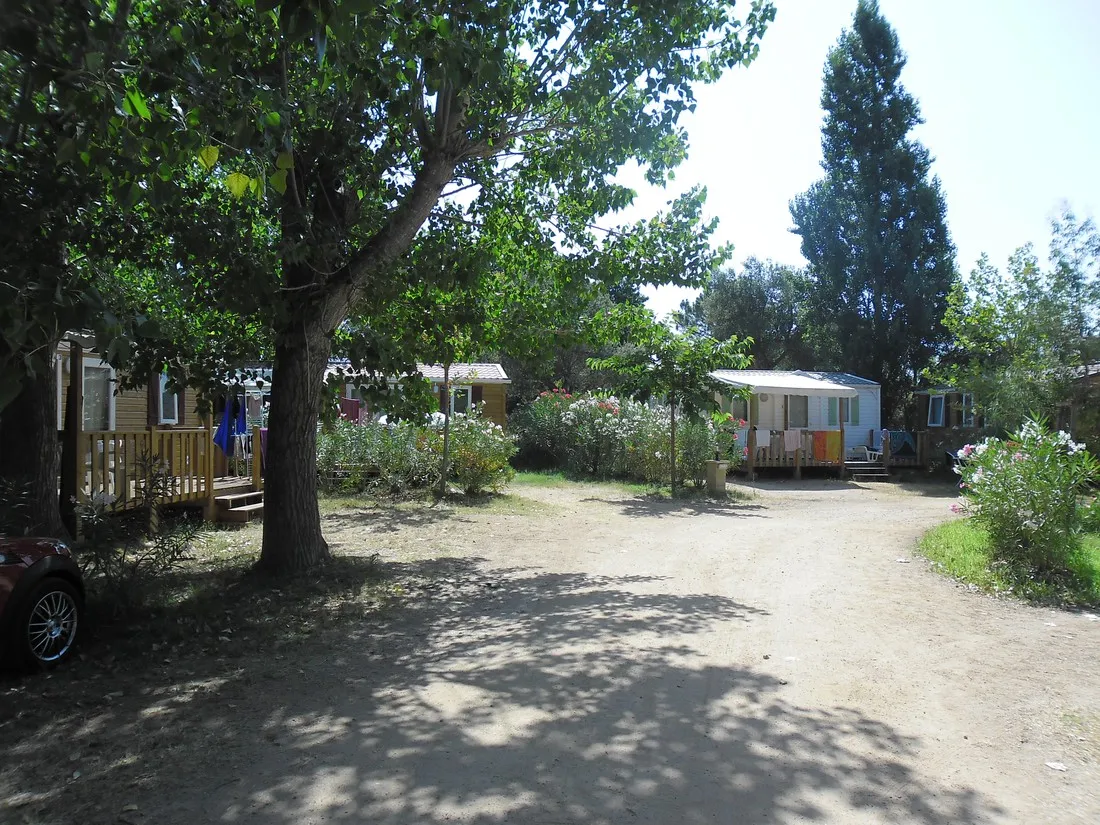 camping-cuppulata-porto-vecchio-sjbds