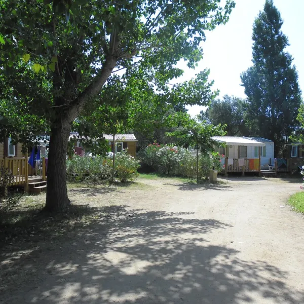 camping-cuppulata-porto-vecchio-sjbds