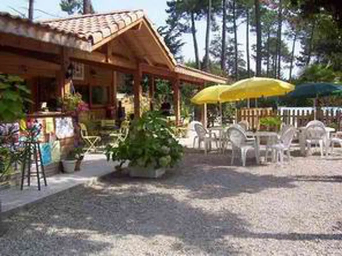 les-ecureuils-ares-fthki