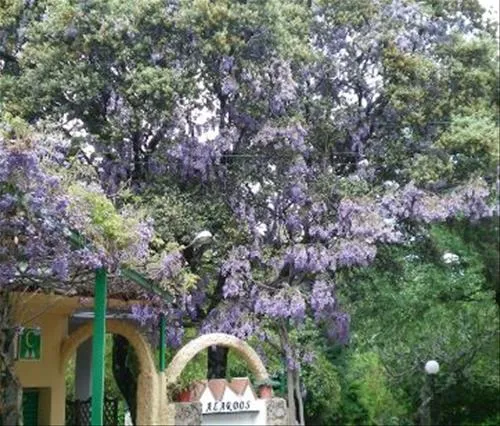 camping-alardos-madrigal-de-la-vera-hinqr