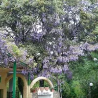 Camping Alardos