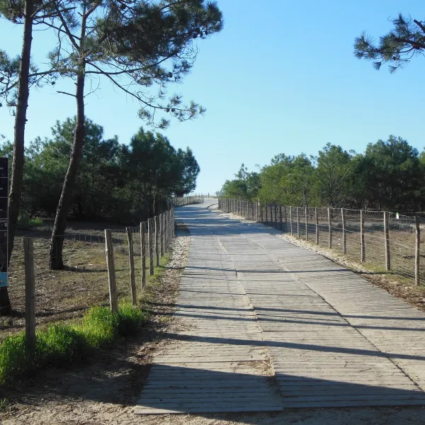 Camping Bremontier