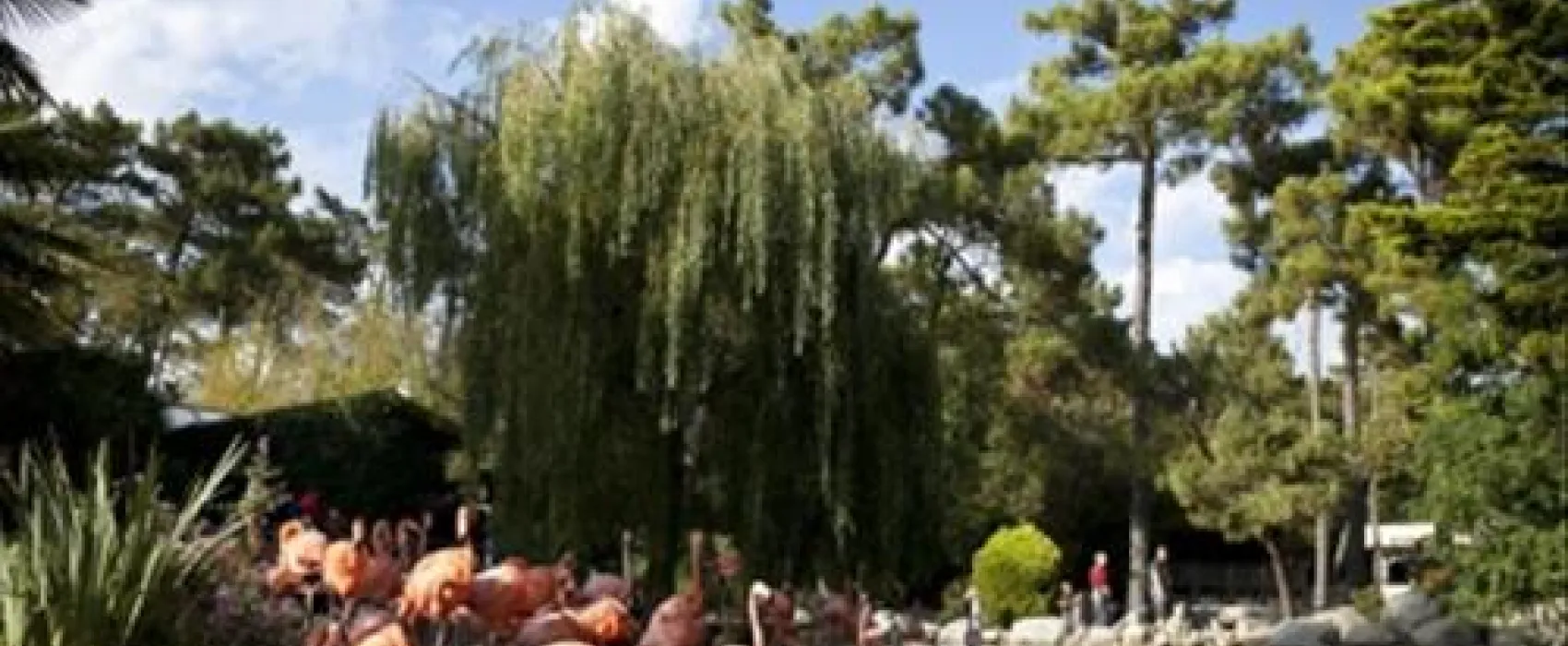 Atlantique Parc