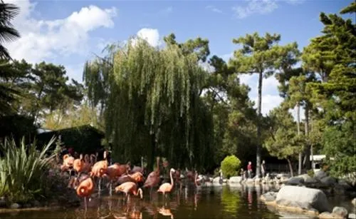 atlantique-parc-la-palmyre-usjj8