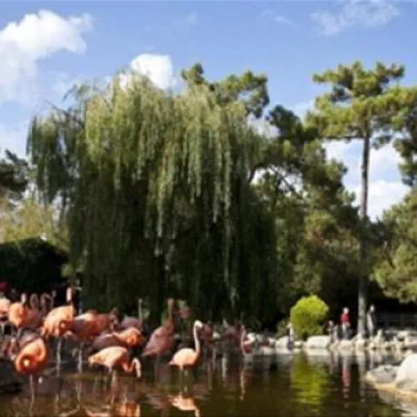atlantique-parc-la-palmyre-usjj8