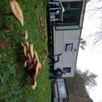 camping-chalet-weekend-rahier-bmzwy