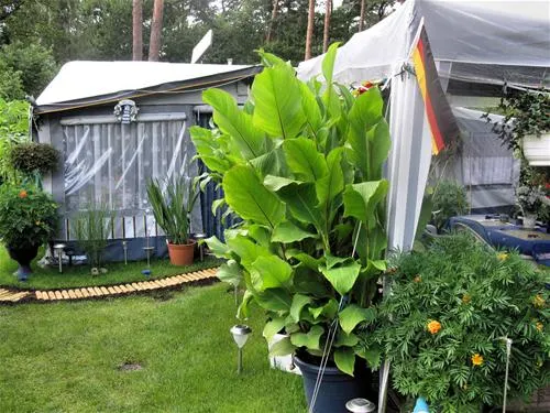 campingfreunde-gorinsee-schnerlinde-ot-wandlitz-jgdcj