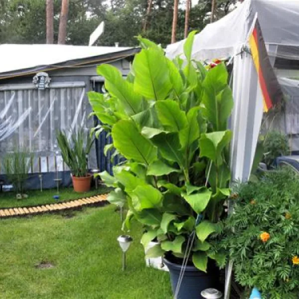 campingfreunde-gorinsee-schnerlinde-ot-wandlitz-jgdcj