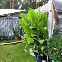 campingfreunde-gorinsee-schnerlinde-ot-wandlitz-jgdcj