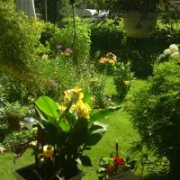 campingfreunde-gorinsee-schnerlinde-ot-wandlitz-q1ppn