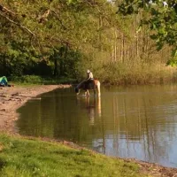 campingfreunde-gorinsee-schnerlinde-ot-wandlitz-x29bv