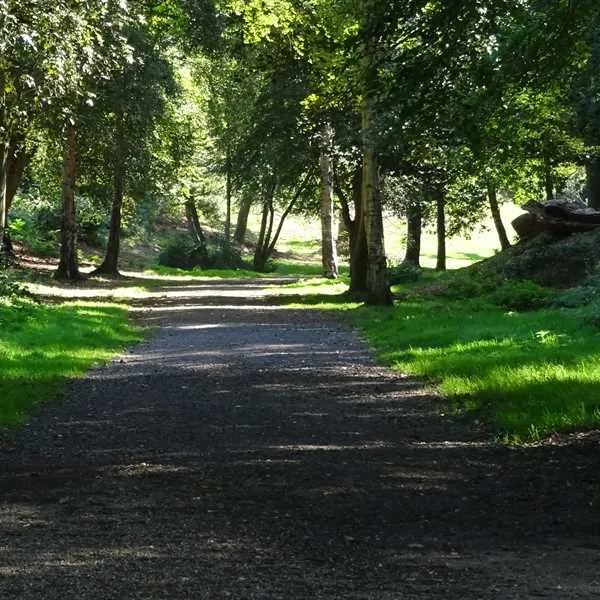 forest-park-caravan-site-cromer-s09gp