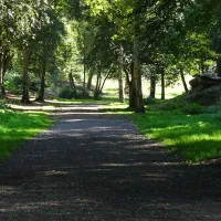 forest-park-caravan-site-cromer-s09gp