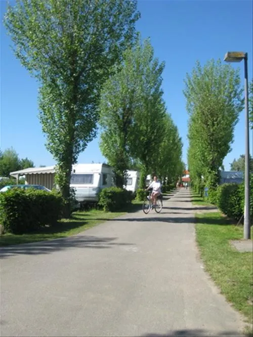 campingferienpark-california-schnbergkalifornien-izlu5