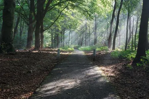 bospark-ede-ede-idjkl
