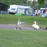 camping-oranienstein-an-der-lahn-diez-dtx9h