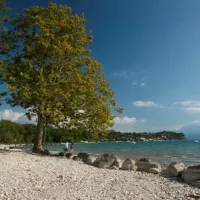 camping-zocco-manerba-del-garda-dgzs9