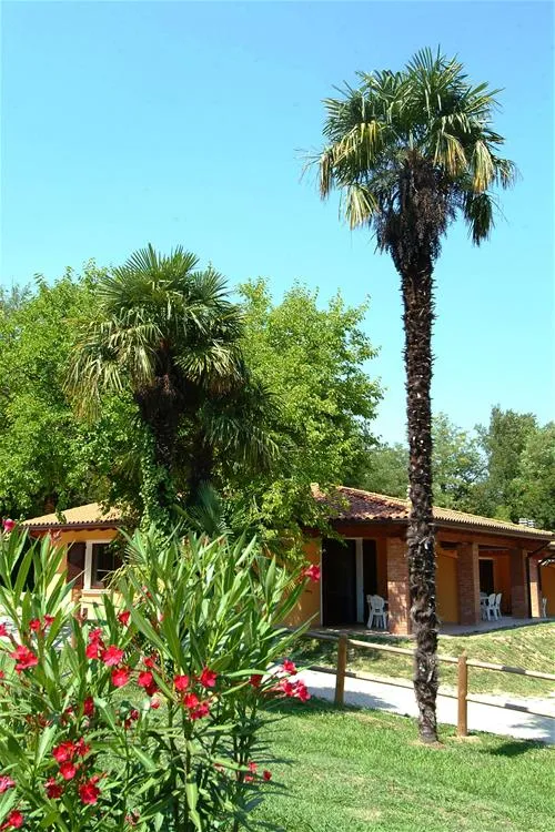 camping-zocco-manerba-del-garda-u65zc