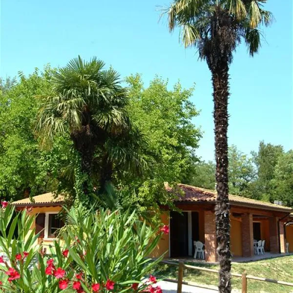 camping-zocco-manerba-del-garda-u65zc