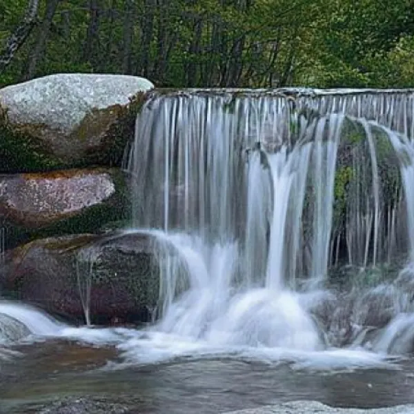 camping-la-palhere-pourcharesses-mfdey