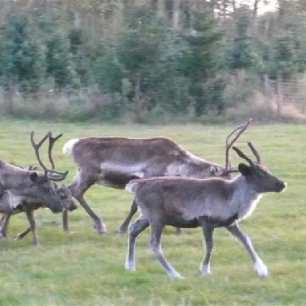 camping-de-meibeek-ruurlo-syxj5