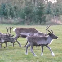 camping-de-meibeek-ruurlo-syxj5