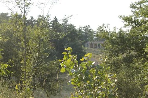 agricampeggio-madonna-di-pogi-bucine-zwwui