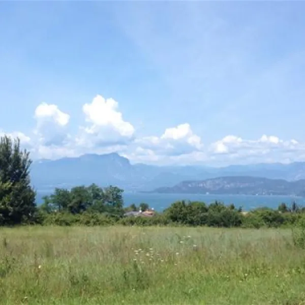 Campeggio Park Delle Rose