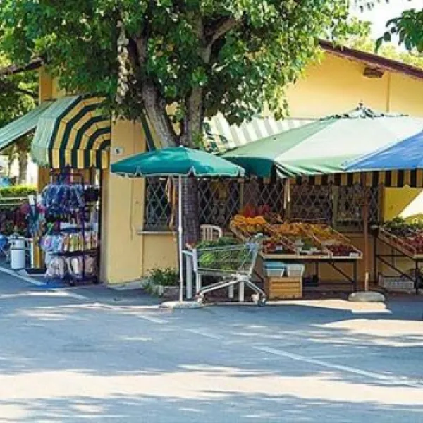 campeggio-park-delle-rose-lazise-sul-garda-zrmtx