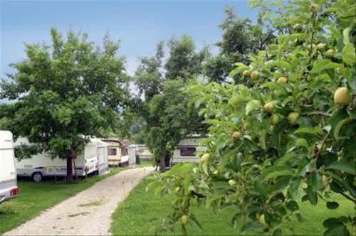 campingparadies-mattsee-lochen-am-see-bgaa0