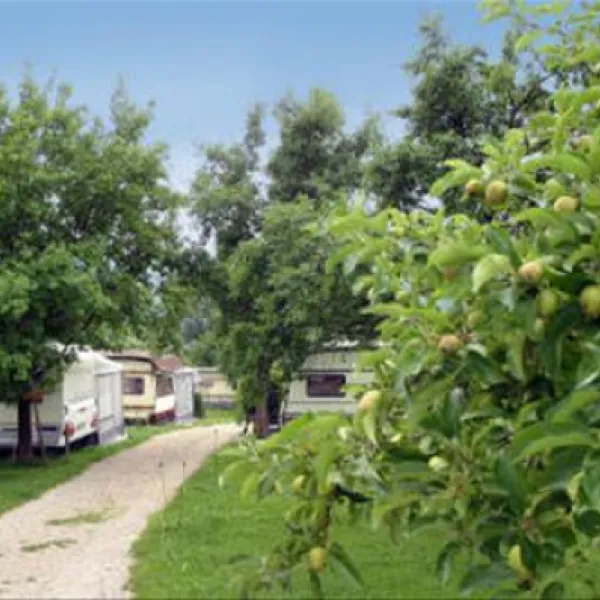 campingparadies-mattsee-lochen-am-see-bgaa0
