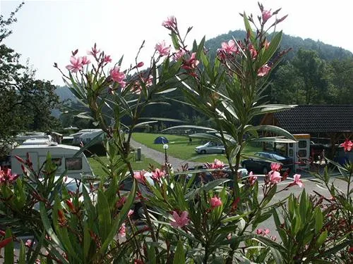paradisegarden-camping-kaumberg-8p7vv