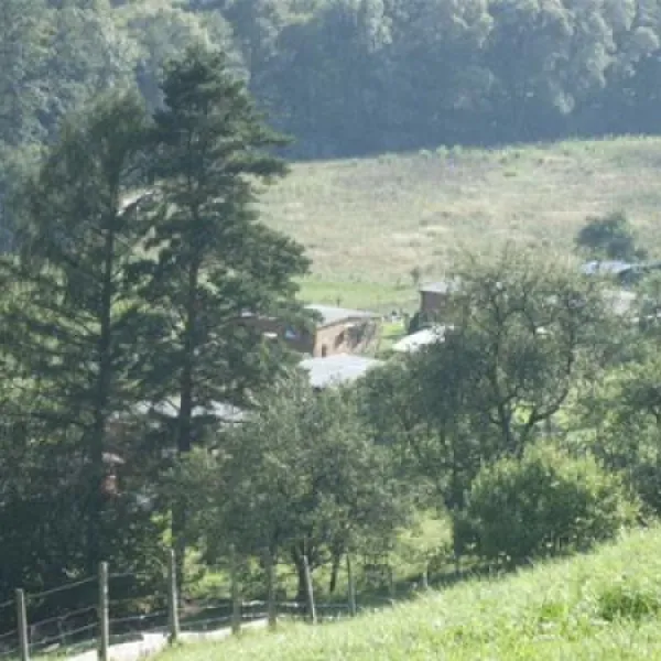 paradisegarden-camping-kaumberg-csqaz