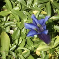paradisegarden-camping-kaumberg-igs0m