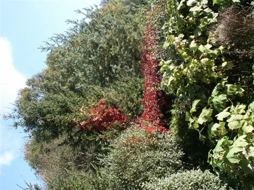 paradisegarden-camping-kaumberg-ioqmh