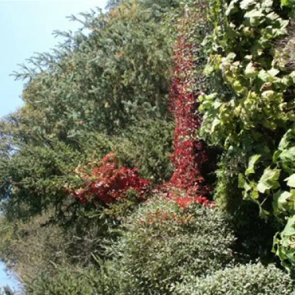 paradisegarden-camping-kaumberg-ioqmh
